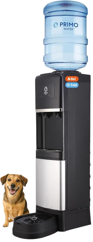 Bottom-Loading Self-Sanitizing Water Dispenser